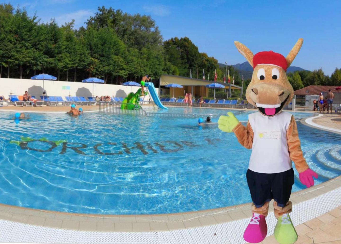 Camping Residence & Lodge Orchidea Baveno Zewnętrze zdjęcie